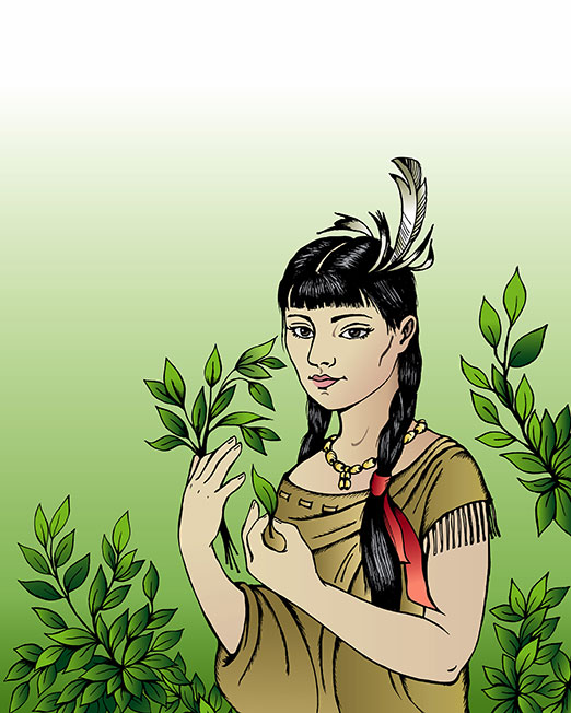 Book-Illustration-Pocahontas-Story Web Design, Graphic Art
