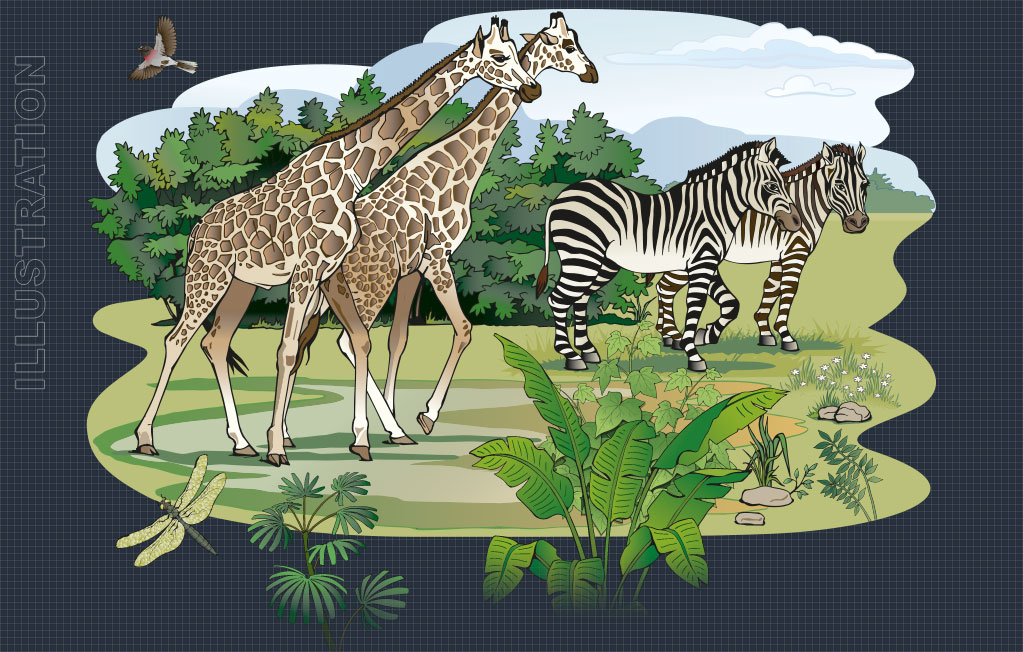 Color Illustration, Animals, Nature, People, Hands, Instructions, LineArt Illustration