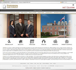 Slava Aaron Tenebaum Professional Website